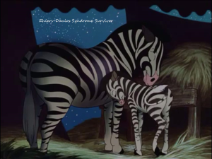 zebra from dumbo